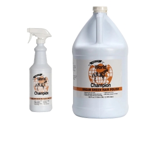 World Champion Dream Sheen Hair Polish